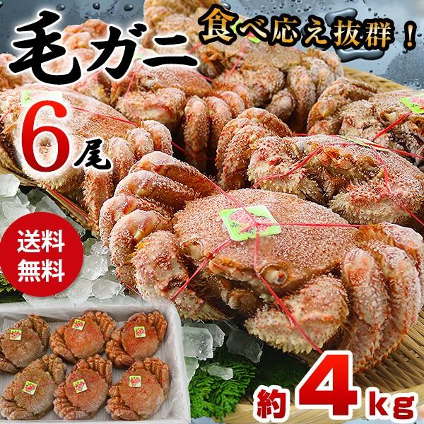 北海道産 毛ガニ 特大サイズ 6尾 4kg 毛蟹 ケガニ 蟹 送料無料 グルメ 食品 優良配送 お歳暮 ギフト 10%クーポン