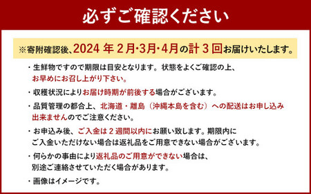 博多あまおう 4パック