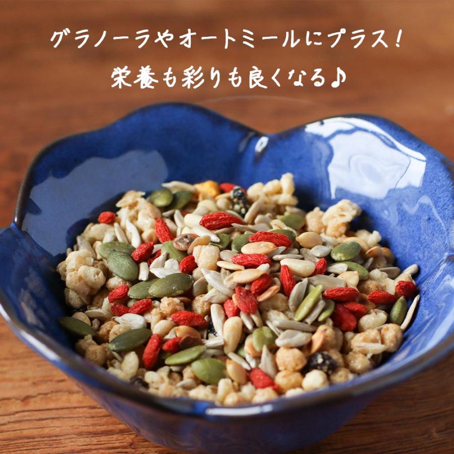 ひまわりの種 5種 シードミックス 松の実 無塩 240g ミックスシード 種 食用 素焼き おすすめ 手作り 健康 美容 おやつ かぼちゃの種 メロンシード スイカの種