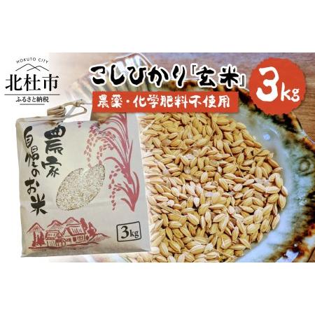 ふるさと納税 白州米 コシヒカリ『玄米』3kg 山梨県北杜市