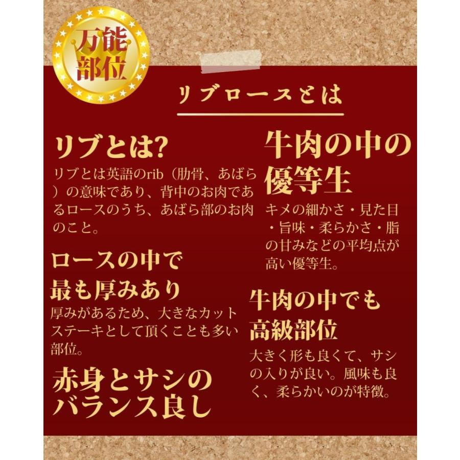 佐賀牛 リブロース 約9〜12kg A5ランク 5等級 産地直送 牛肉 国産肉 ブロック 業務用 焼き肉 バーベキュー