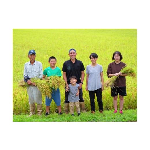 ふるさと納税 新潟県 南魚沼市 令和5年産南魚沼産コシヒカリ（5kg×12回)