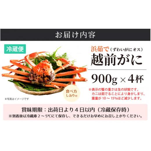 ふるさと納税 福井県 越前町 越前がに本場の越前町からお届け！≪浜茹で≫越前がに 中サイズ（生で900g以上）× 4杯 合計3.6Kg以上 食べ方しおり付【かに カニ…