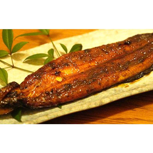 ふるさと納税 愛媛県 愛南町 手焼き うなぎ 蒲焼き 約120g× 2本 魚 鰻 冷凍 父の日 土用の丑の日 老舗 亀一 愛媛県 愛南町