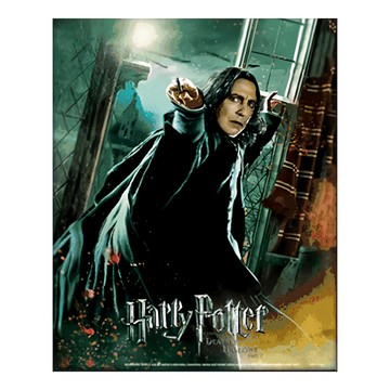 Harry Potter 哈利波特 撕淌三步殺 含框3D海報  28.3 x 23.2 x 4cm  石內卜 黑色
