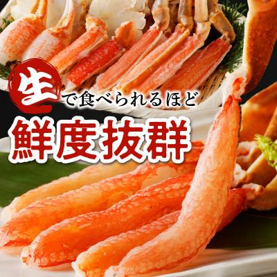 ふるさと納税 京丹後市 高鮮度!お刺身でも食べられる!カット生ズワイガニ 2肩分