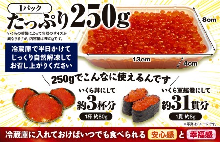 年4回いくら定期便 500g 250g × × 4回 極上の大粒いくら シラリカいくら 鮮度維持にこだわった極上品 いくら 醤油漬け 鮭卵 鮭いくら 小分け 海鮮 送料無料 人気 ランキング 北海道 白糠町 _K065-1041