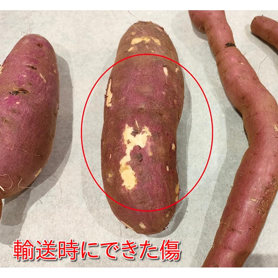 さつまいも 紅はるか 千葉県産 訳あり B品 約4.5kg サイズ不揃い