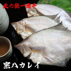 北海道の魚一夜干し　宗八カレイ4パックセット