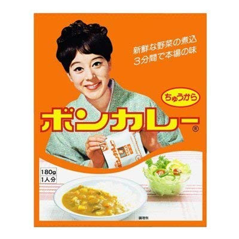 沖縄限定版ボンカレー中辛10パックセット