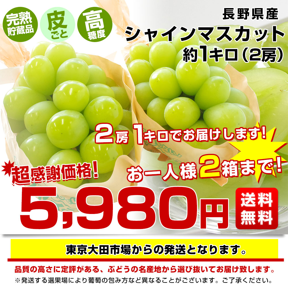 長野県産 シャインマスカット　約1キロ（2房）送料無料 ぶどう ブドウ 種なしぶどう　市場発送 御歳暮 お歳暮 ギフト