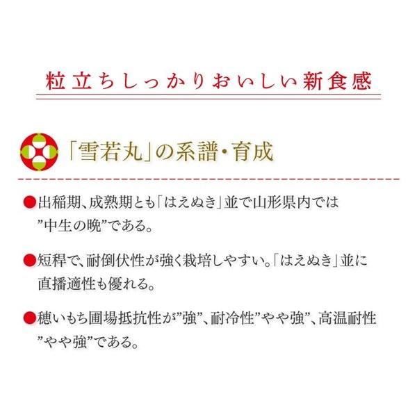 米　令和5年度産　山形県産　雪若丸 2kg