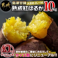 島津甘藷　熟成紅はるか 10kg(2L～M)_AA-A701