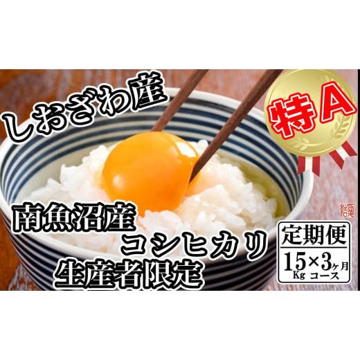 ふるさと納税 新潟県 南魚沼市 生産者限定 契約栽培 南魚沼しおざわ産コシヒカリ