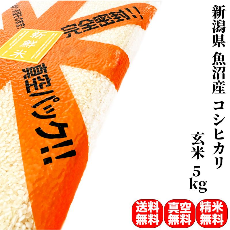 クーポンご利用で10％OFF 米 お米 5kg 新潟県 魚沼産 コシヒカリ 令和4年産 玄米（5kg×真空パック1袋） 精米無料 真空パック無料 送料無料