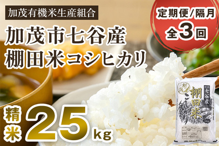 新潟県加茂市 七谷産 棚田米コシヒカリ 精米25kg（5kg×5）白米 加茂有機米生産組合 定期便 定期購入 定期 コシヒカリ 新潟県産コシヒカリ 米 お米