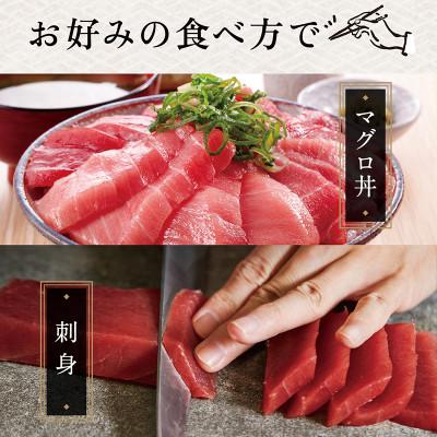 ふるさと納税 越前市 本まぐろ 大トロ 250g(柵どり)