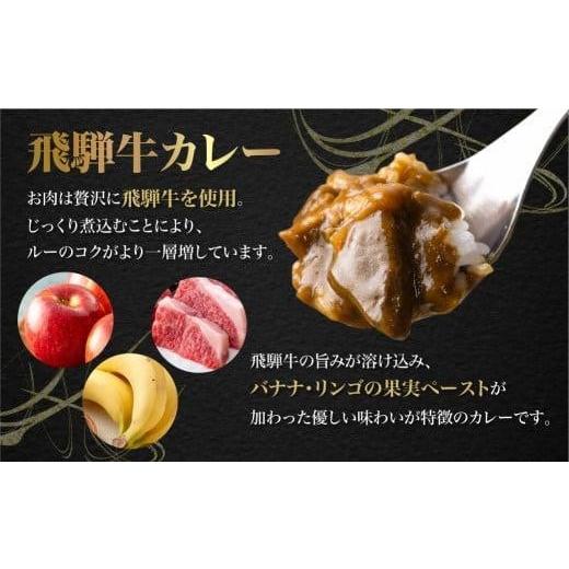 ふるさと納税 岐阜県 高山市 飛騨牛カレー (3袋) 飛騨牛トマトカレー (2袋)  計5食   簡易包装 ビーフカレー 飛騨牛 トマト カレー レトルトカレー…