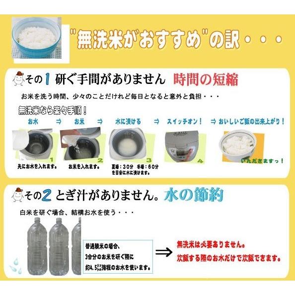 ポイント5倍 新米 無洗米 山形県産雪若丸 2合(300g)×3袋 メール便送料込み 令和5年産 米  お試し（SL）