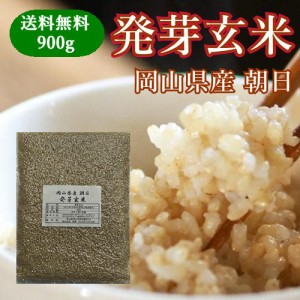 発芽玄米 岡山県産 朝日 900g 令和4年産 送料無料  お試し