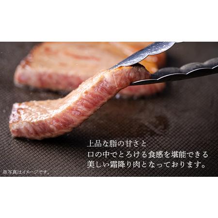 ふるさと納税 宮崎 県産 宮崎牛 サーロイン ステーキ 400g 200g×2枚 冷凍 送料無料 国産 牛 肉 霜降り ステーキ BBQ バーベキュー 焼肉 牛.. 宮崎県美郷町