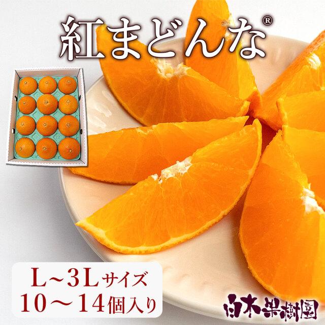 紅まどんな　L〜3Lサイズ