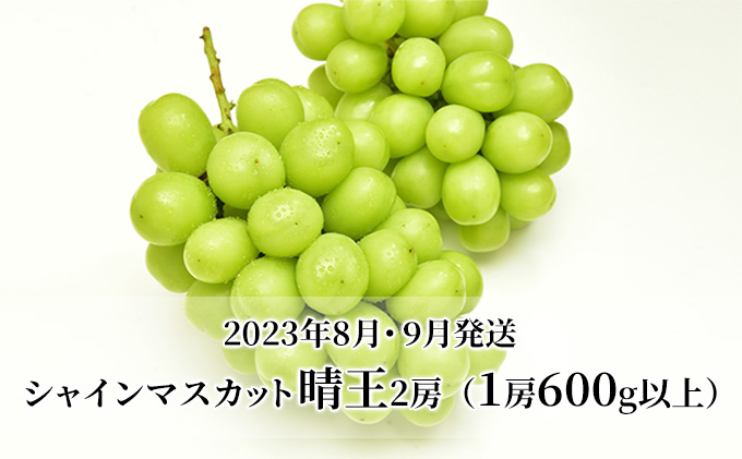 ぶどう 定期便 2024年 先行予約 シャイン マスカット 晴王 各月2房（1房600g以上） 2回コース マスカット ブドウ 葡萄  岡山県産 国産 フルーツ 果物 ギフト