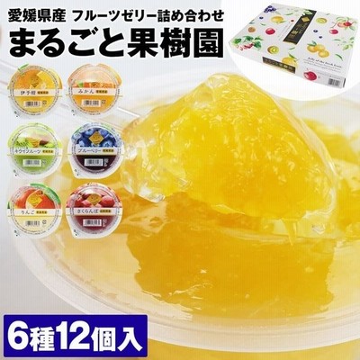 ゼリー 詰合せ ギフト まるごと果樹園 6種12個入り 愛媛県産 国産 スイーツ 常温便 通販 Lineポイント最大get Lineショッピング