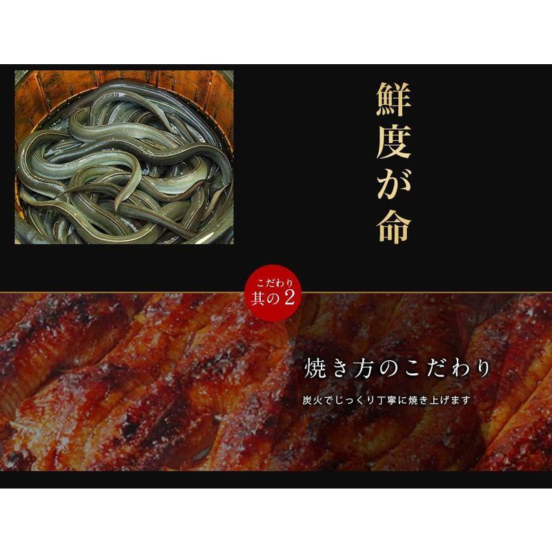 愛知県一色産 国産 うなぎ ギフト 鰻 蒲焼き 国産 手焼き 炭火焼き カット 父の日 ギフト (うなぎタレ＆山椒付) 虹色キッチン (50