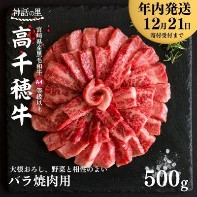 ふるさと納税 高千穂町 宮崎県産黒毛和牛A4等級以上 高千穂牛バラ肉 500g