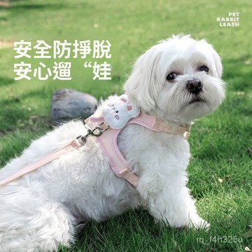 【限時特賣】 寵物胸背帶 寵物牽引繩  防爆沖狗繩  遛狗繩 牽引繩小型犬專用胸背帶泰迪比熊幼犬遛狗繩寵物背心式狗鏈子