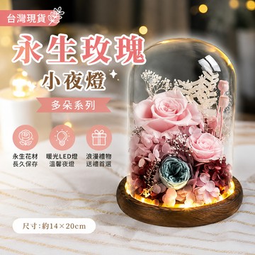 廢物專賣店  永生多朵系 LED玻璃鐘罩 永生玫瑰小夜燈 乾燥花 玫瑰花束 生日禮物 情人節花束 聖誕節禮物 畢業禮物