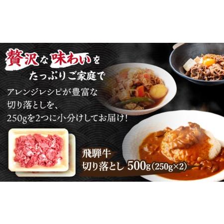 ふるさと納税 12 18お申込みまで　＼贅沢な味わいをご家庭で／ 切り落とし 500g (250g×2) 国産 .. 岐阜県多治見市