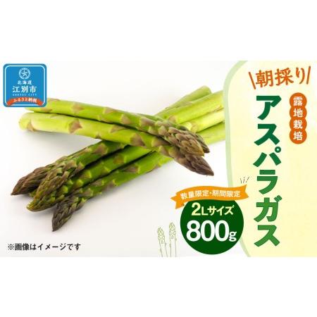 ふるさと納税 ＜数量限定・期間限定＞グリーンアスパラガス(2Lサイズ) 800g 朝採り 露地栽培 北海道江別市