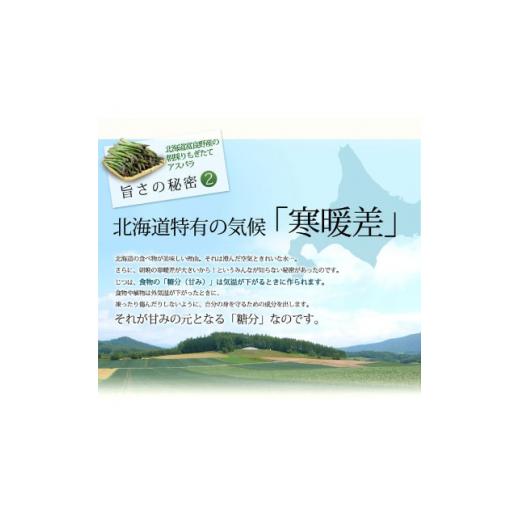 ふるさと納税 北海道 富良野市 2024年春出荷「生」で食べられる!北海道富良野産　グリーンアスパラ　1kg(SからLサイズ混合)