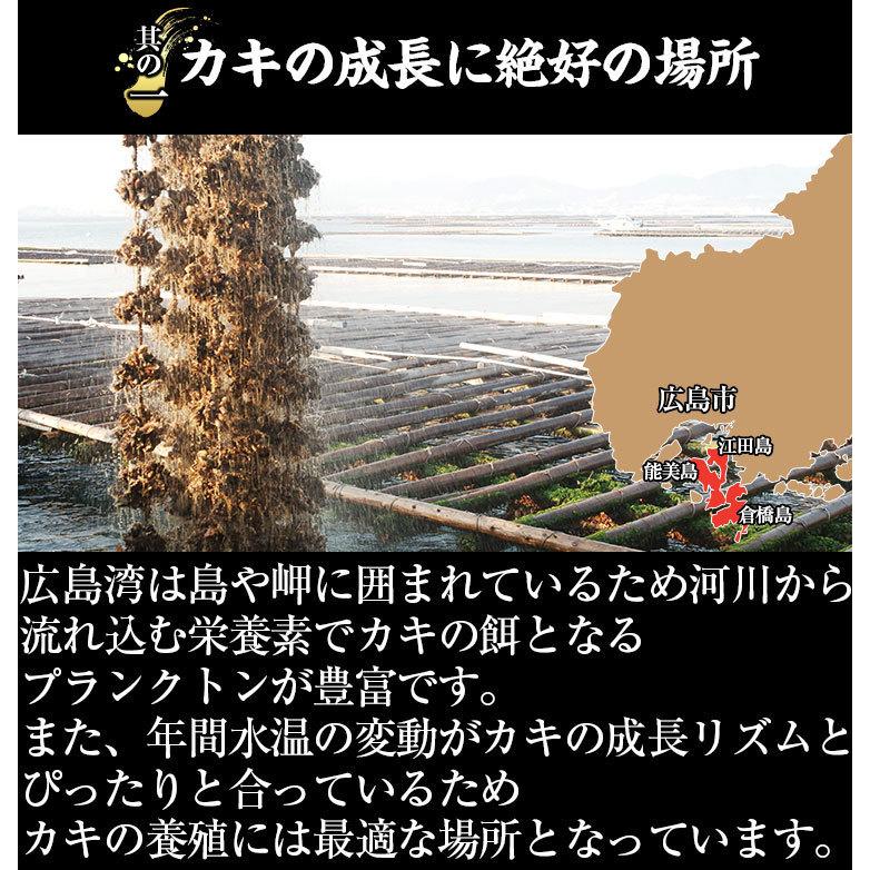 かき 牡蠣 カキ 16日に3340円に値上げ予定 2Lサイズ ジャンボ 広島かき剥身1kg 最大1200円OFFクーポン有 正味850g 約30粒 能美島清浄海域産 生牡蠣 個凍 加熱用