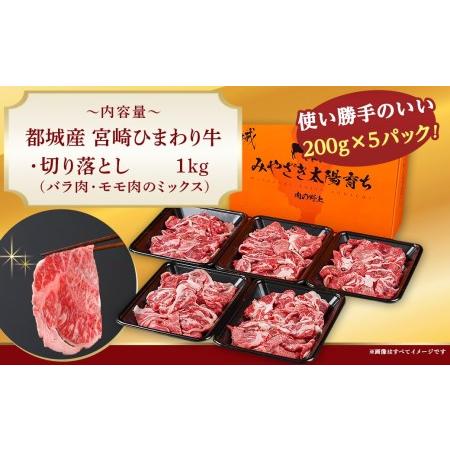 ふるさと納税 宮崎ひまわり牛切り落とし1kg(200g×5ハ゜ック)_MJ-2618_(都城市) ひまわり牛 切り落とし バラ肉 モモ肉 ミックス 小分け 200g.. 宮崎県都城市