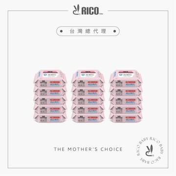 韓國 RICO baby 殺菌清潔紙巾20抽x15包/箱
