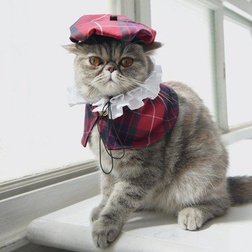 寵物皇室時尚套組 - 拉夫領 & 貝雷帽 -貓咪