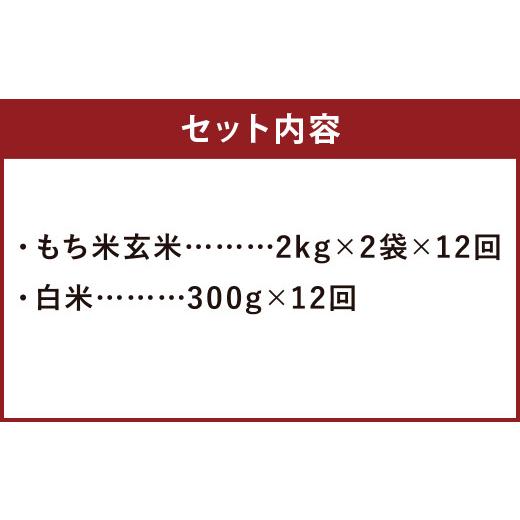 ふるさと納税 熊本県 菊池市  熊本県 菊池産 もち米 玄米 2kg×2袋 白米 300g 計51.6kg ヒヨクモチ