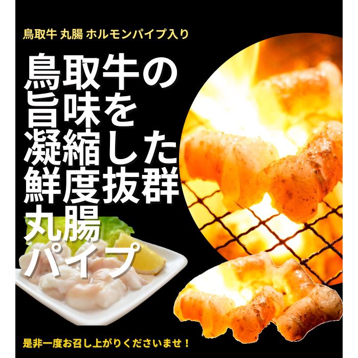 焼肉セット 2.4ｋｇ (６〜１０人前） ホルモン 丸腸 牛肉 豚肉 鶏肉 バーベキュー 鳥取産 BBQ ファミリーセット たっぷり2,4キロ 送料無料