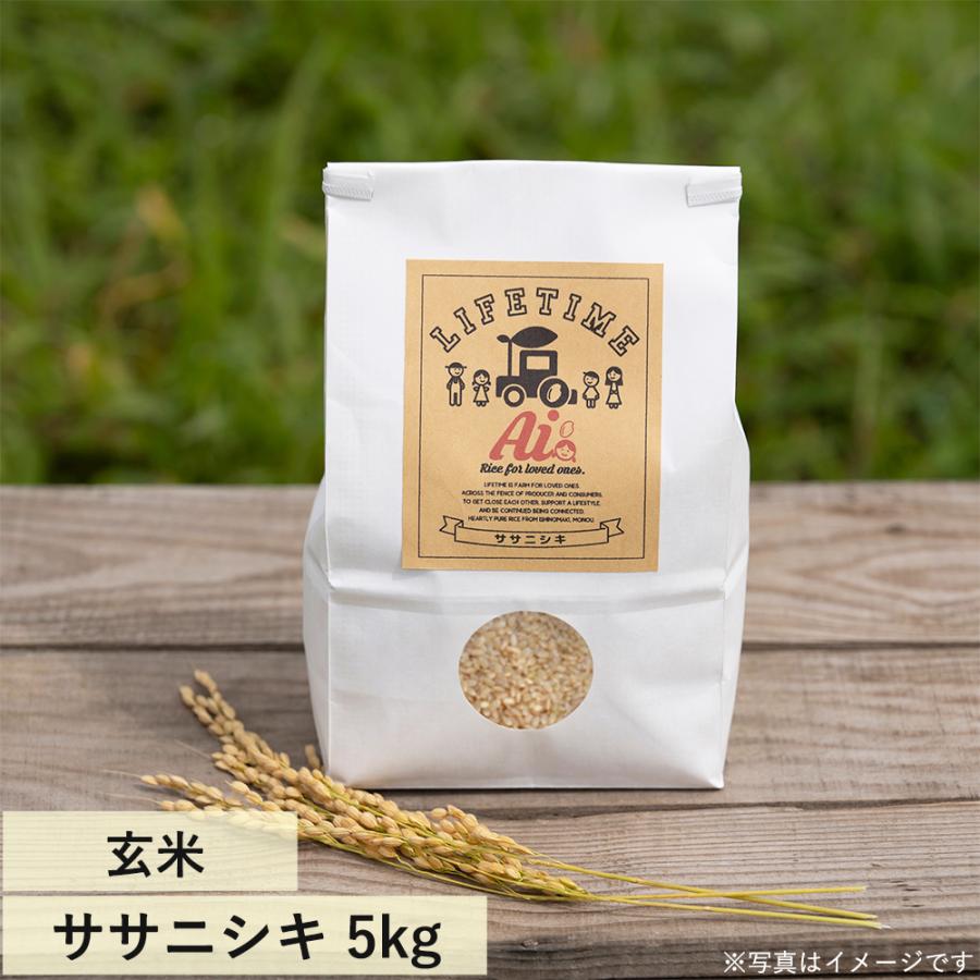 ササニシキ 玄米 "Ai" 5kg 令和5年産 LIFETIME ORIGINAL米　宮城県石巻市より農家直送