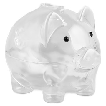 命運好好玩 湯鎮瑋 諸事大吉錢母撲滿 8110677  透明色  1個