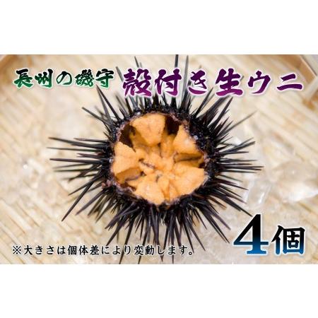 ふるさと納税 (10043)殻付きウニ 4個 生うに 雲丹  長門市 ムラサキウニ 山口県長門市