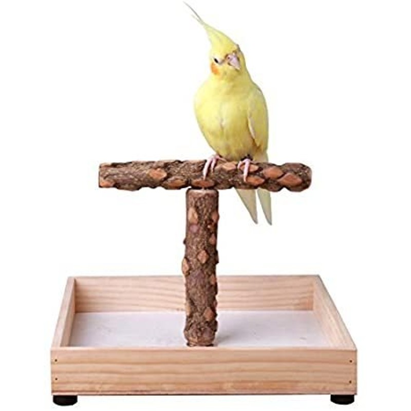 KINTOR Bird Stand Tabletop,Portable Tee Stand, Parrot Play Stand Perch Gym  ＿並行輸入品 通販 LINEポイント最大0.5%GET | LINEショッピング