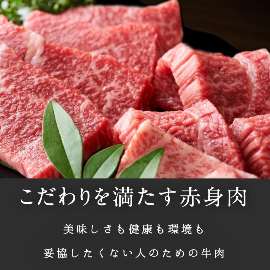 焼肉2種セット 合計1050g(ロース150g×3 切り落とし200g×3) 純日本産 グラスフェッドビーフ 国産 黒毛和牛 赤身 牛肉 焼き肉 お歳暮 ギフト 送料無料