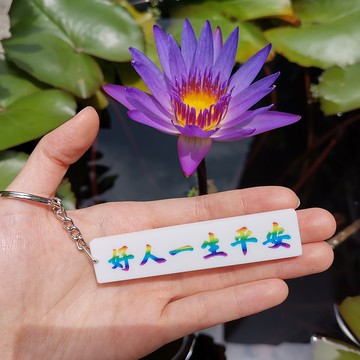 好人一生平安 認同請分享 彩色限定版匙扣
