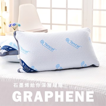 ELVIS 愛菲斯 - 天絲石墨烯獨立筒枕 (2入)
