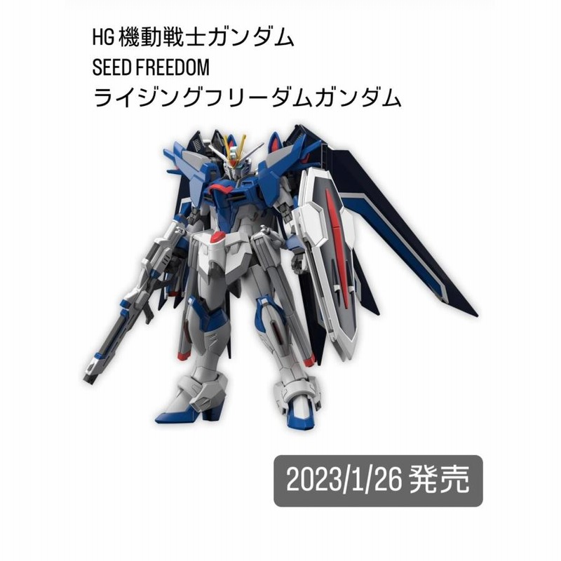HG ライジングフリーダムガンダム 1/144 プラモデル 機動戦士ガンダム 
