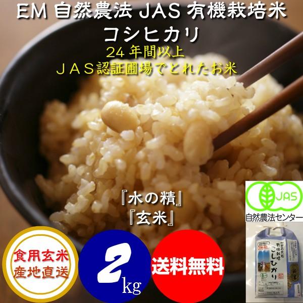 令和5年産 新米 無農薬 有機米 コシヒカリ 食用玄米 ２ｋｇ  水の精 ＪＡＳ認証 ＥＭ自然農法